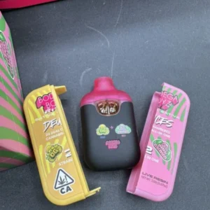 bodega boyz disposable